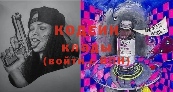 шишки Заволжск
