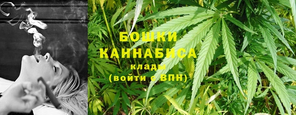 шишки Заволжск