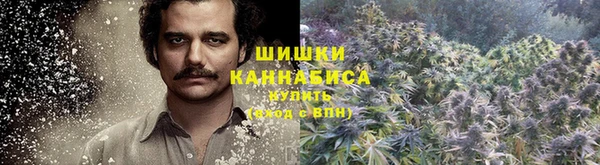 прущая мука Елабуга