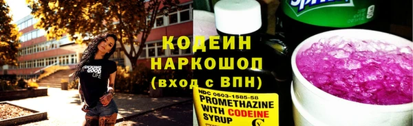 шишки Заволжск