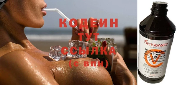 шишки Заволжск