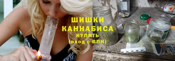 шишки Заволжск
