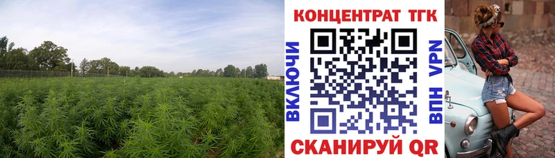Дистиллят ТГК вейп  магазин продажи наркотиков  Жуковский 