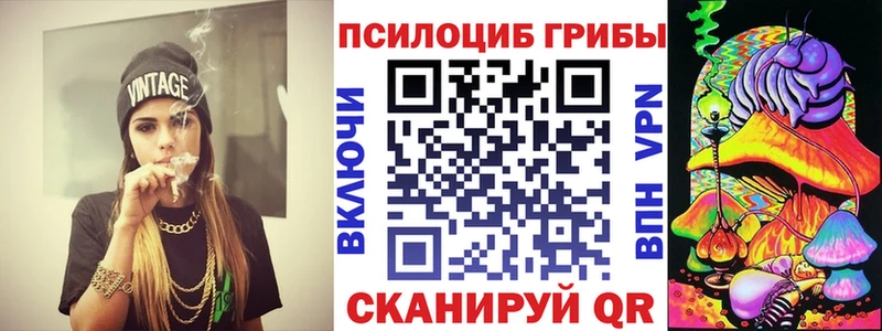 купить закладку блэк спрут ссылки Псилоцибиновые грибы прущие грибы Жуковский